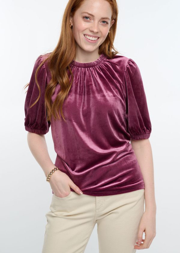 Ivy Jane Velvet Rouched Neck Top Online Hot Sale