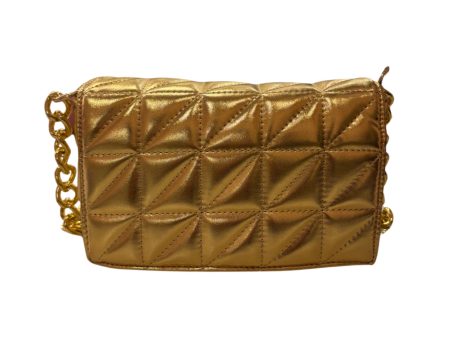 Gold Metallic Purse Gold Chain on Sale