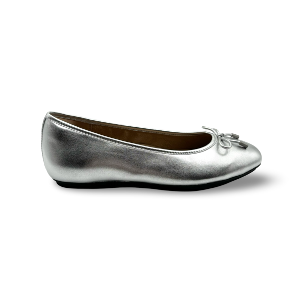 Delicato Silver Ballet Flat Discount