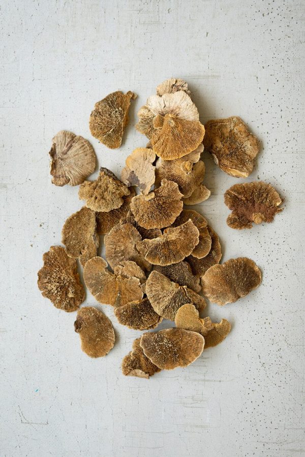 Dried Sponge Mushrooms For Cheap