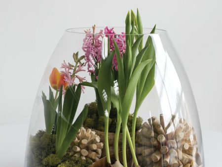 Jumbo Terrarium Supply