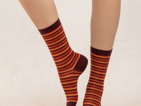 6472 Bordeaux Orange Stripe Sock Online