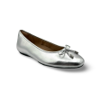 Delicato Silver Ballet Flat Discount