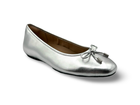 Delicato Silver Ballet Flat Discount