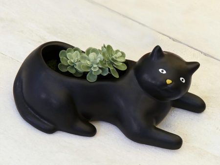 Cosmo The Black Cat Planter Supply