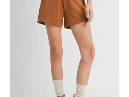 Artful Stretch Corduroy Shorts For Sale