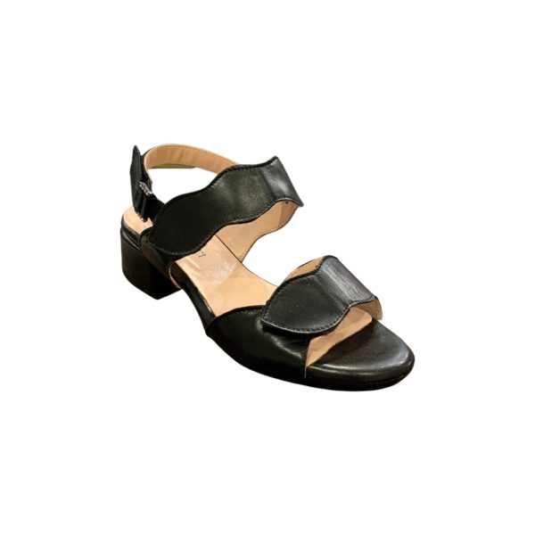 Adena Black Adjustable Sandal Supply