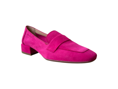 C5020 Orchid Suede Loafer Online