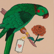 Ariane Parrot Matchbox Fashion