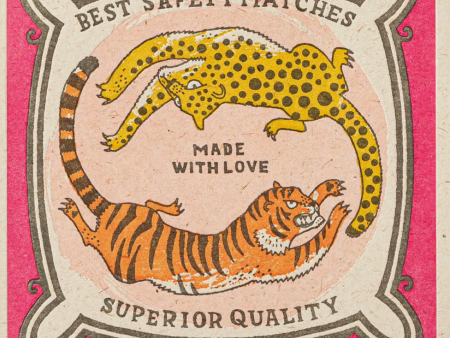 Chasing Big Cats Matchbox Sale