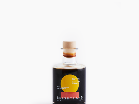 RAPTURE Blackberry Balsamic Vinegar For Discount