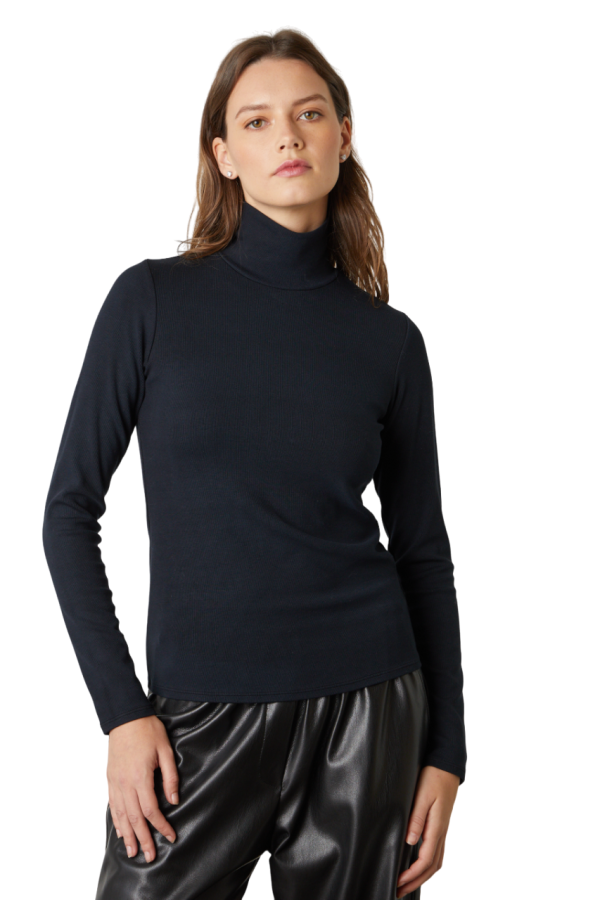 Kaylie Viscose Rib Turtleneck - Black Hot on Sale