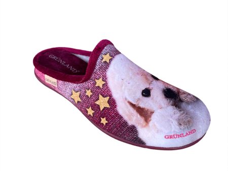 Faye CI2407 Dog Slipper Bordo For Sale