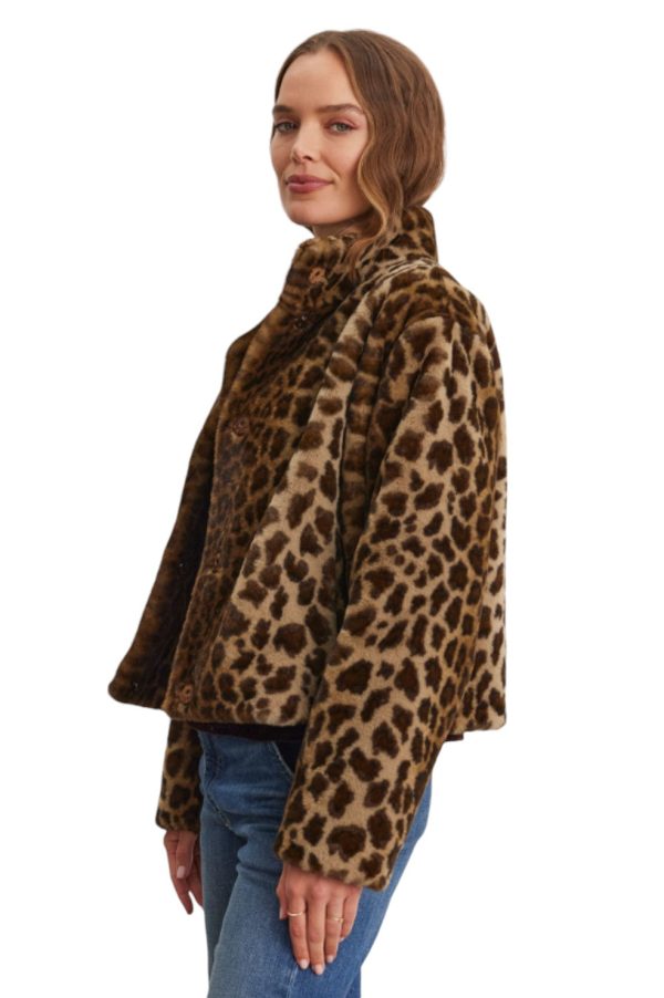 Valli Jacket - Animal Print For Discount