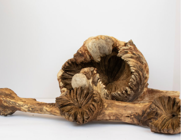 Wooden Mushroom Flower Online Sale