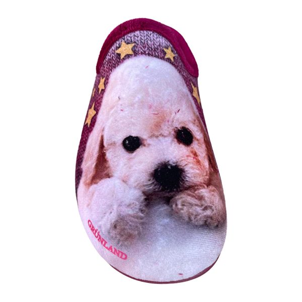 Faye CI2407 Dog Slipper Bordo For Sale