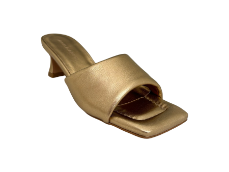 24079 Kansas Gold Mule For Discount