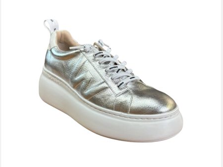 A2632 Silver Metallic Platform Sneaker Online Hot Sale