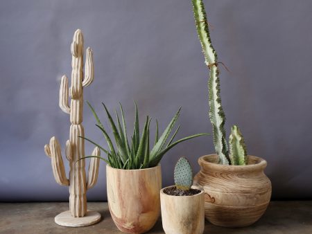 Paulownia Wood Planters, Set of 2 Online now