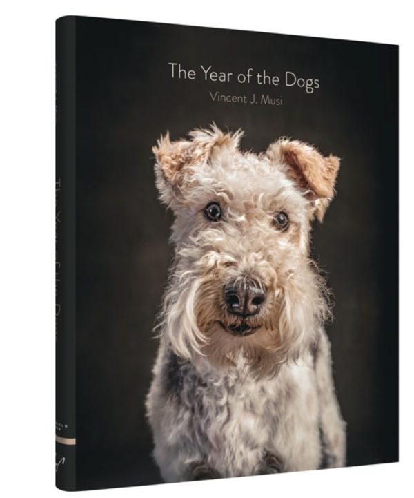 The Year of the Dogs Online Sale