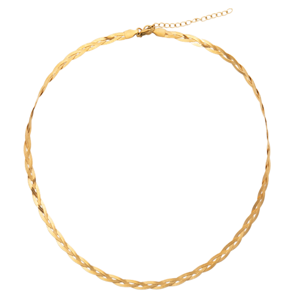 Vesna Braided Herringbone Chain Necklace - Ellie Vail Online Hot Sale