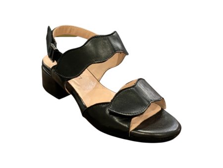 Adena Black Adjustable Sandal Supply