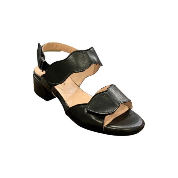 Adena Black Adjustable Sandal Supply