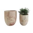 Paulownia Wood Planters, Set of 2 Online now