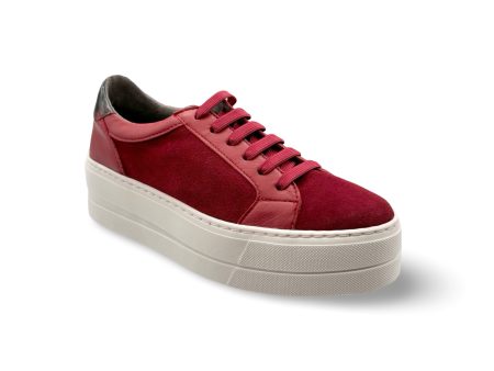 MAUDE Red Lace Up Trainer Hot on Sale