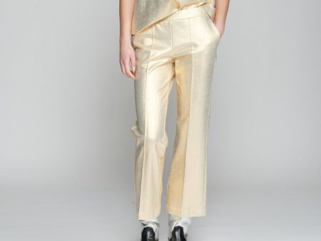 31630 Carole Metallic Stretch Pant For Cheap