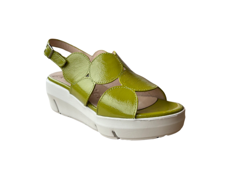 D8210 Apple Slingback Sandal on Sale